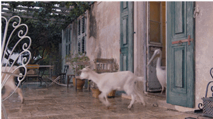 69shuba.ac短剧资讯网