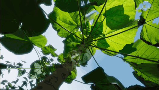 69shuba.ac短剧资讯网