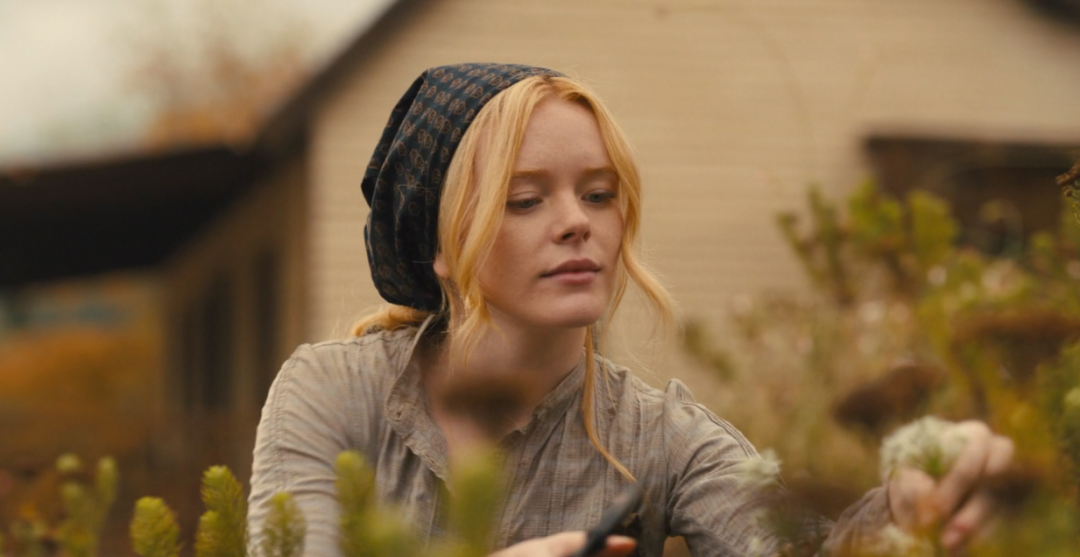 69shuba.ac短剧资讯网