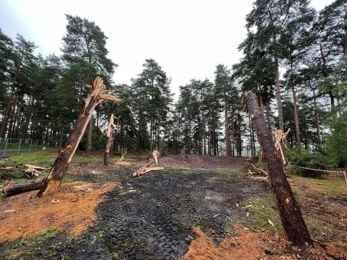 没受到罢工影响的《龙之家族》第二季片场照
