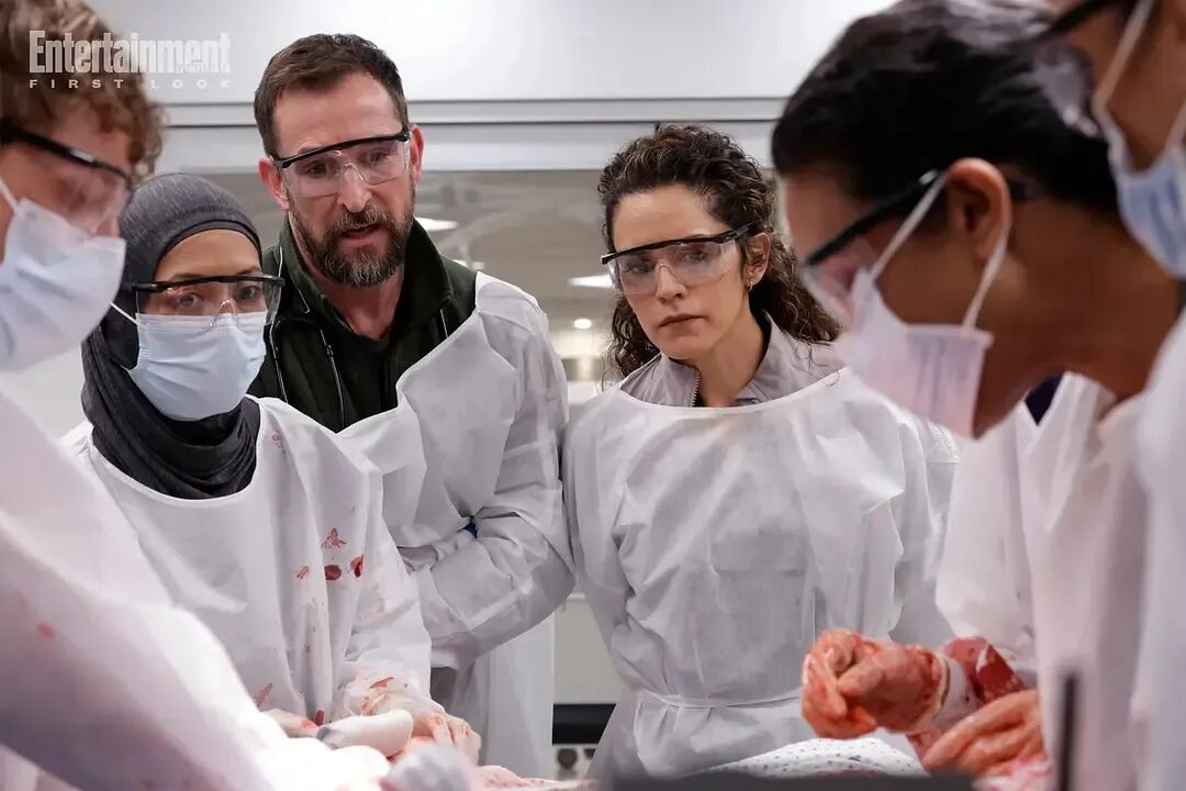 69shuba.ac短剧资讯网