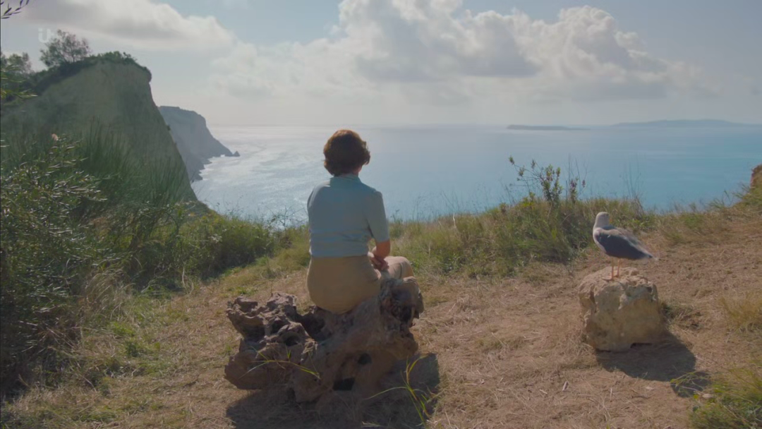 69shuba.ac短剧资讯网