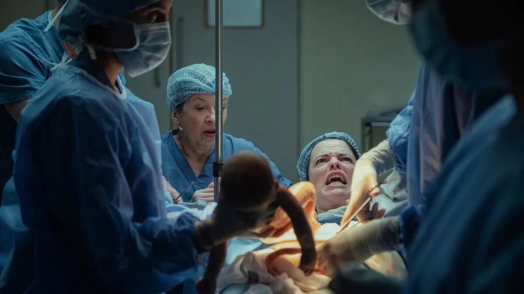 69shuba.ac短剧资讯网