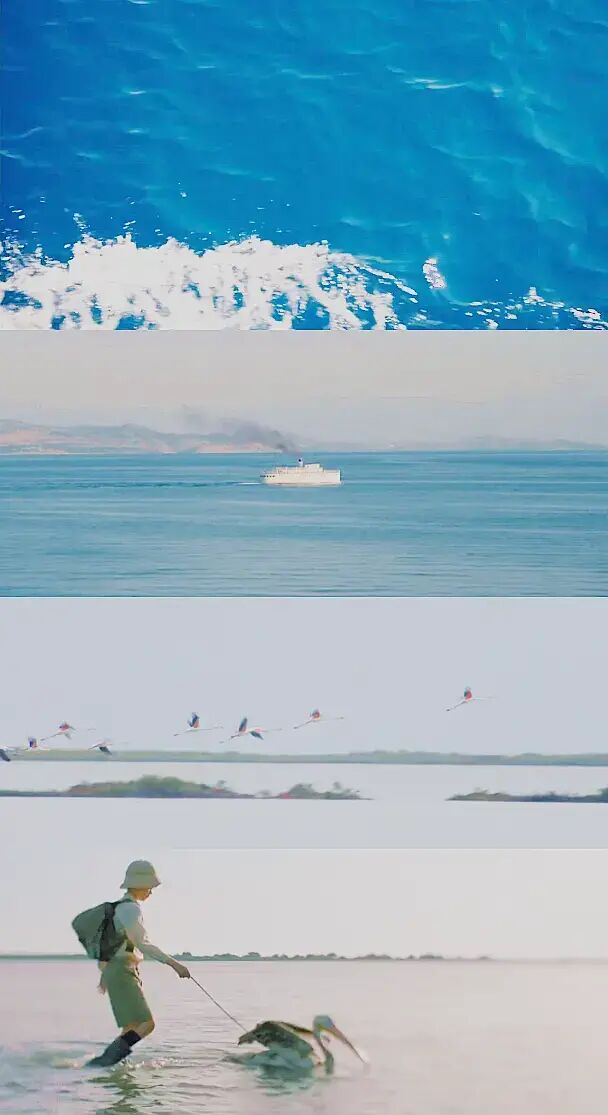 69shuba.ac短剧资讯网