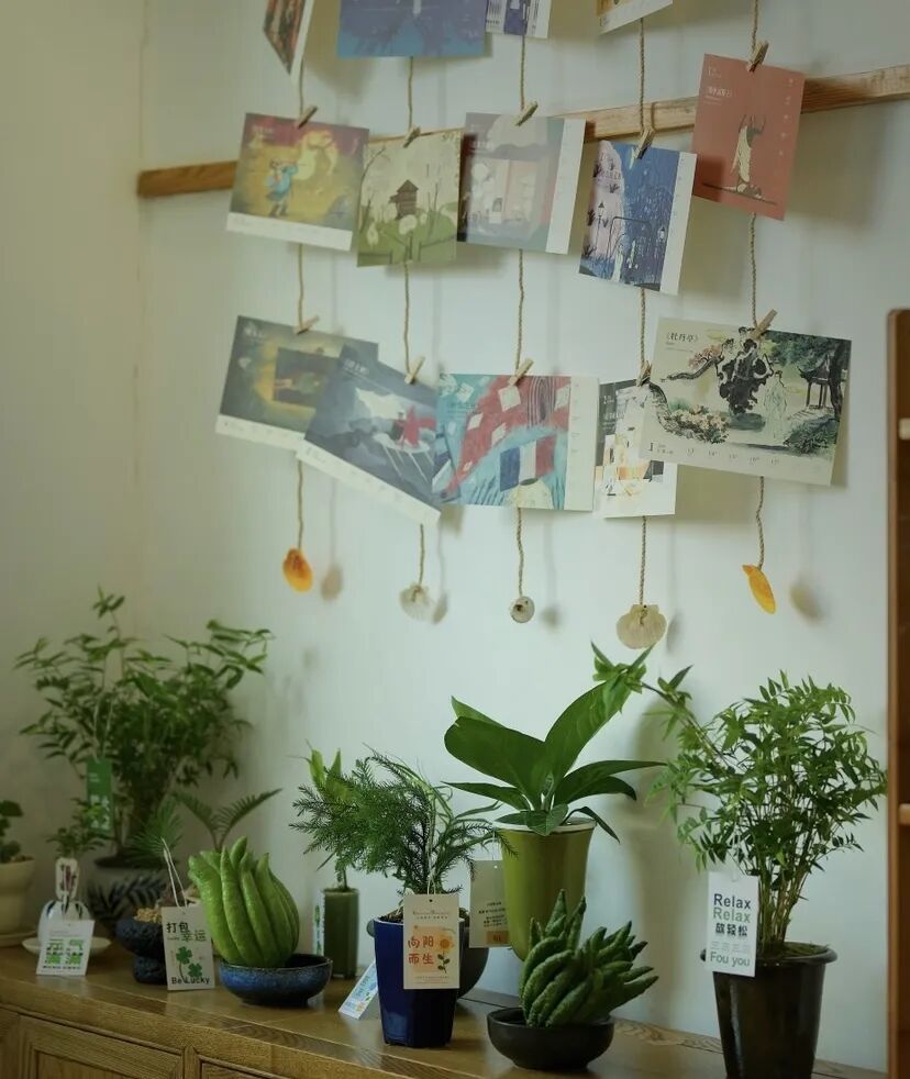 69shuba.ac短剧资讯网