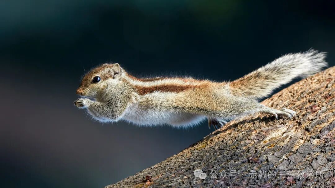 2025&middot;年度盘点&middot;商战&middot;娱乐&middot;都市篇