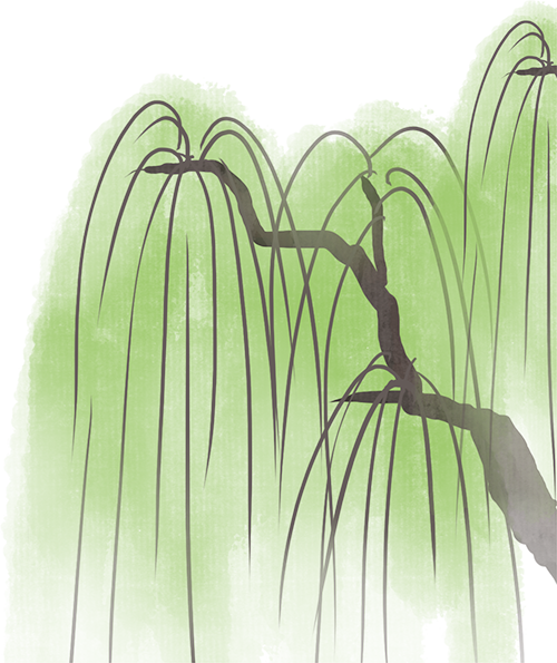 2025年12月衍生&轻小说佳作推荐