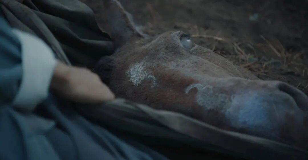 69shuba.ac短剧资讯网