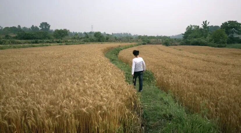 69shuba.ac短剧资讯网