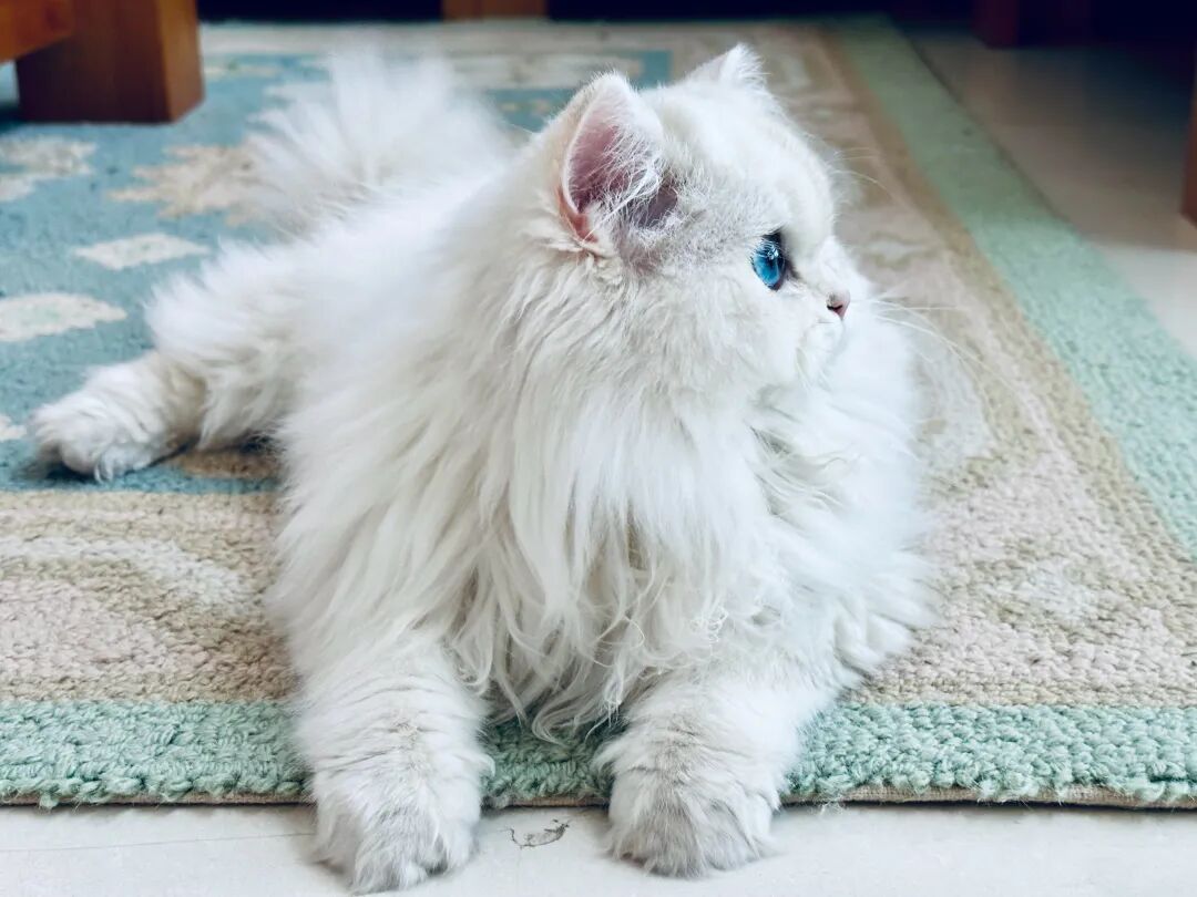 赤戟推书单394｜另类长生志异&middot;投机年代老北京&middot;特摄综漫假面&hellip;&hellip;