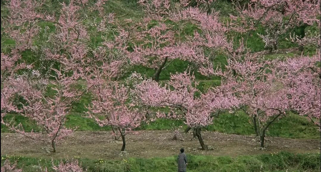 69shuba.ac短剧资讯网