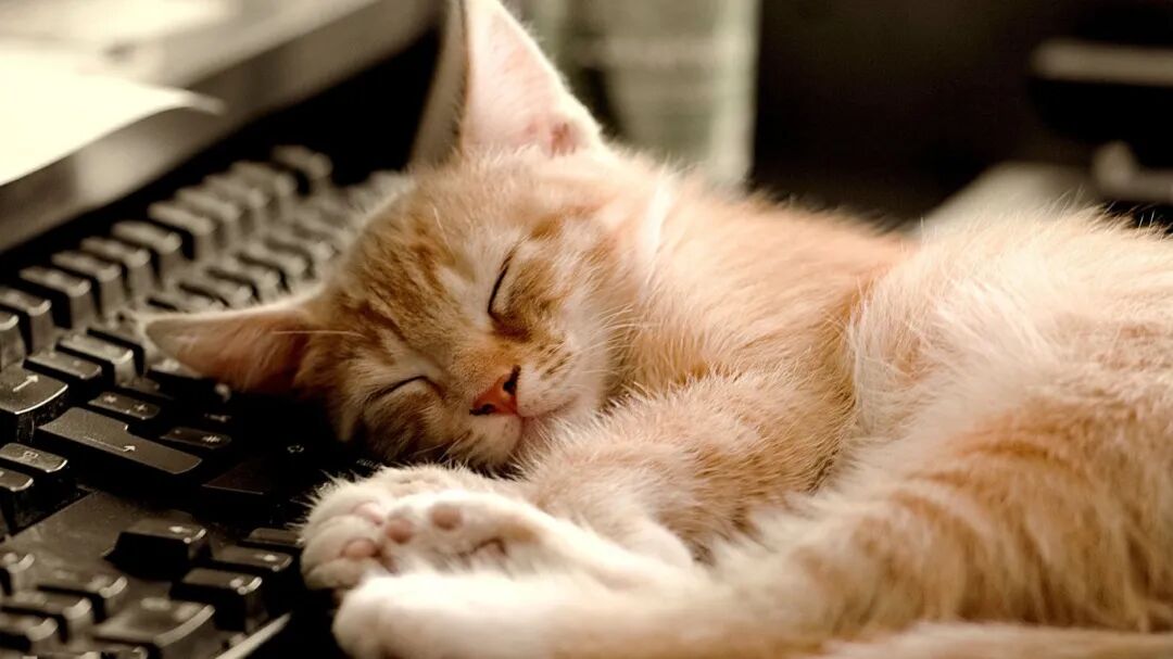 赤戟推书单397｜中式民俗泛灵异&middot;武道乱世热血&middot;抗日谍战日子人&hellip;&hellip;