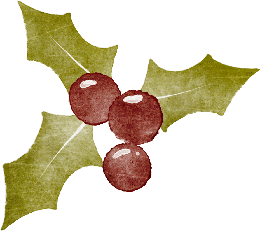 2025 衍生12月追读榜