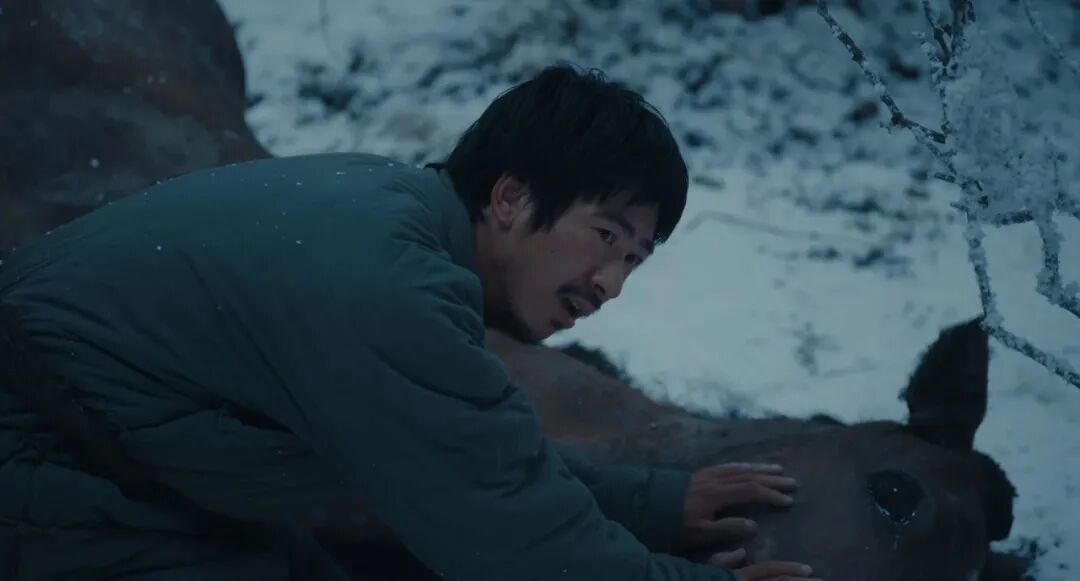 69shuba.ac短剧资讯网