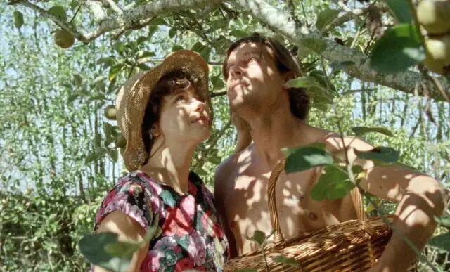 69shuba.ac短剧资讯网