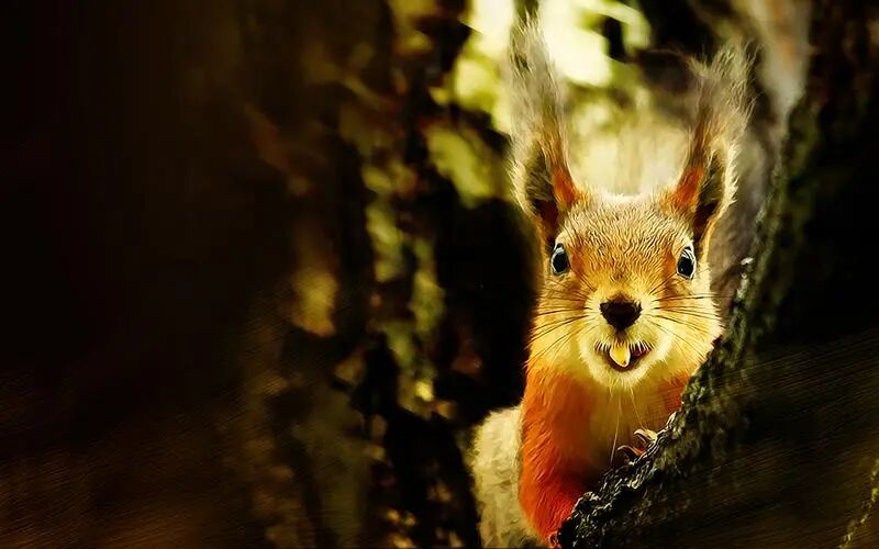 赤戟月度推书&middot;佳作好评回馈&middot;必读（2025&middot;11）