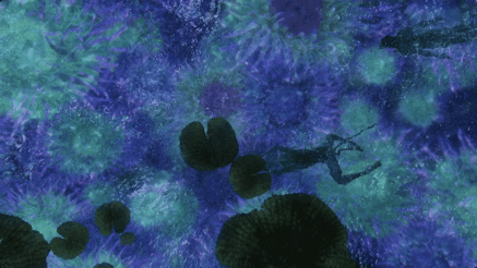 69shuba.ac短剧资讯网