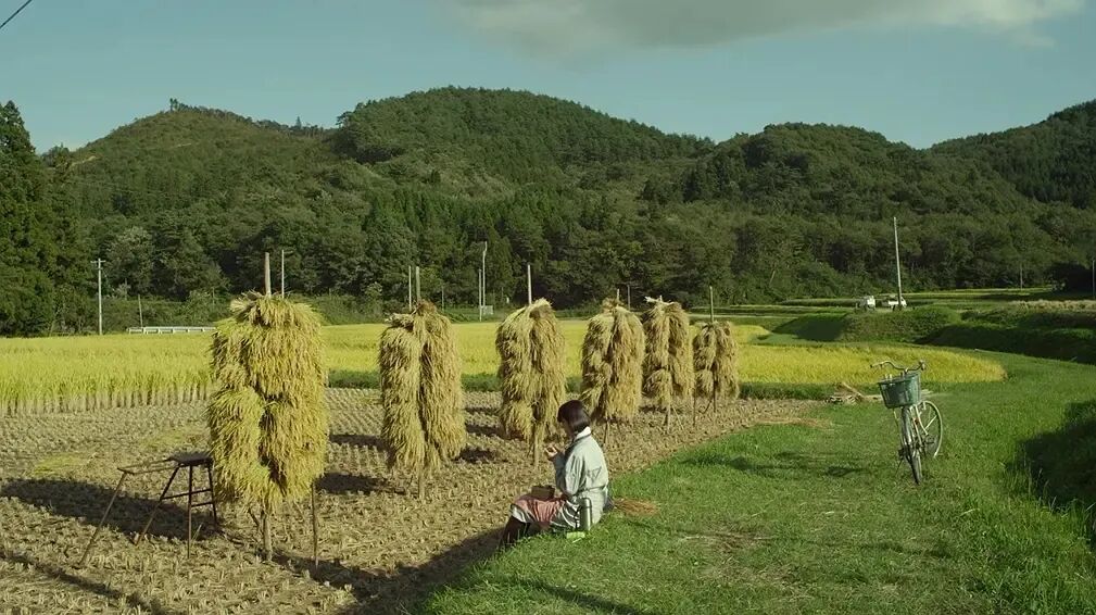 69shuba.ac短剧资讯网