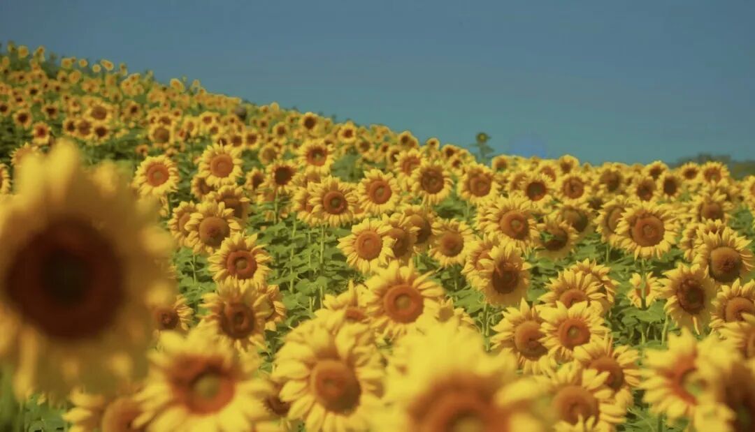 &ldquo;建议所有能量低的人都去读这本书！&rdquo;