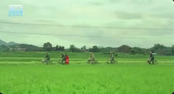 69shuba.ac短剧资讯网