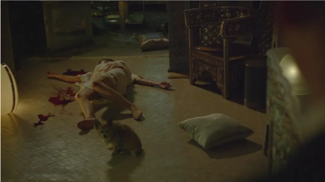 69shuba.ac短剧资讯网