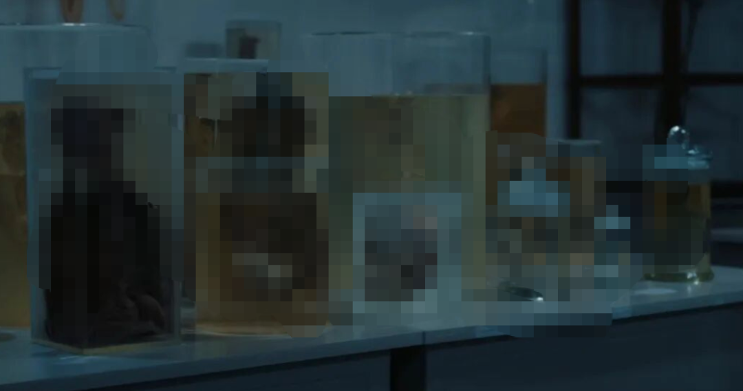 69shuba.ac短剧资讯网