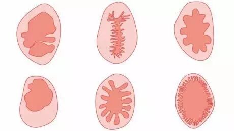 69shuba.ac短剧资讯网