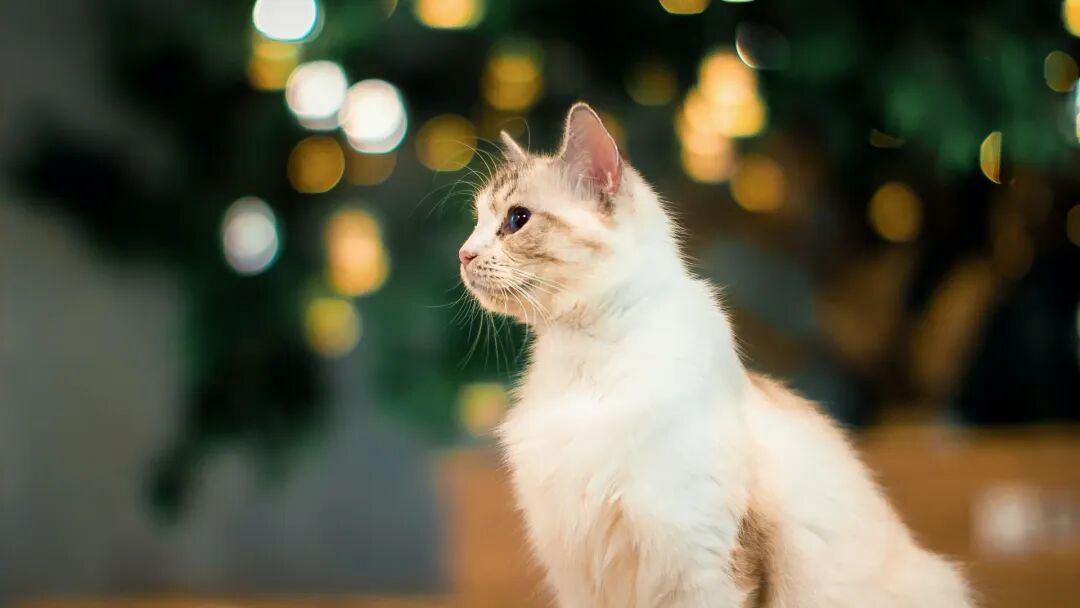 赤戟推书单396｜广州农业创业文&middot;人情世故凡人流&middot;年度HP同人&hellip;&hellip;