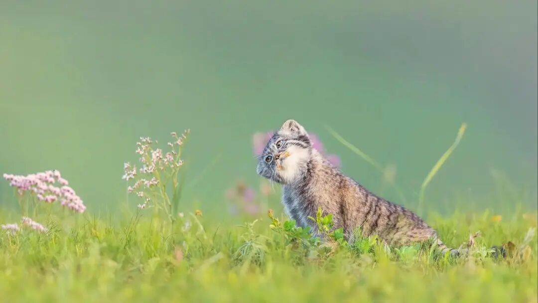 完本养肥精选：赤戟1月书单&middot;2026