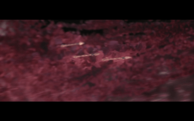 69shuba.ac短剧资讯网