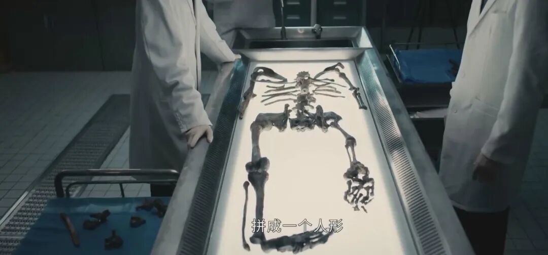 69shuba.ac短剧资讯网