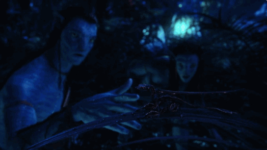 69shuba.ac短剧资讯网