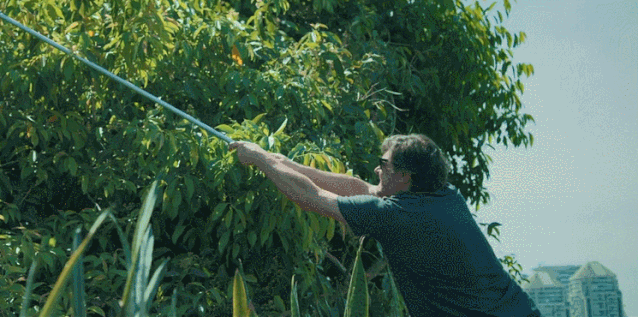 69shuba.ac短剧资讯网