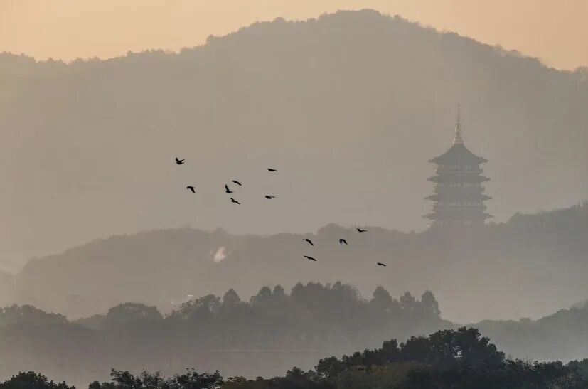 读完这本书，我彻底爱上了诗词！强烈推荐！