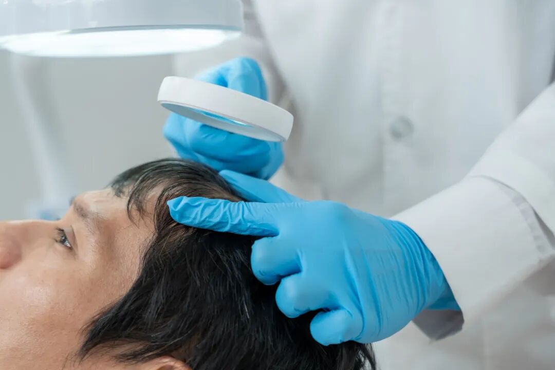 69shuba.ac短剧资讯网