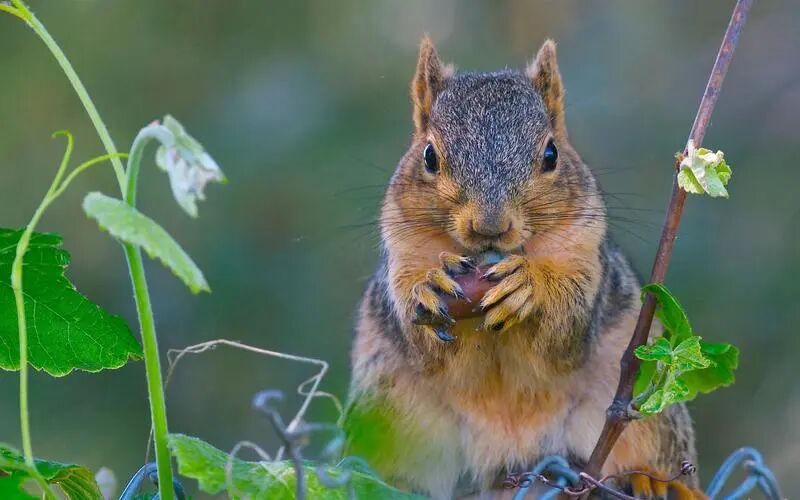 赤戟月度推书&middot;佳作好评回馈&middot;必读（2025&middot;09）