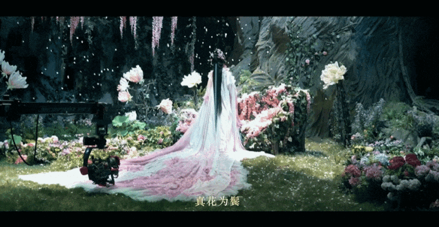 内娱拍出它，没有遗憾了