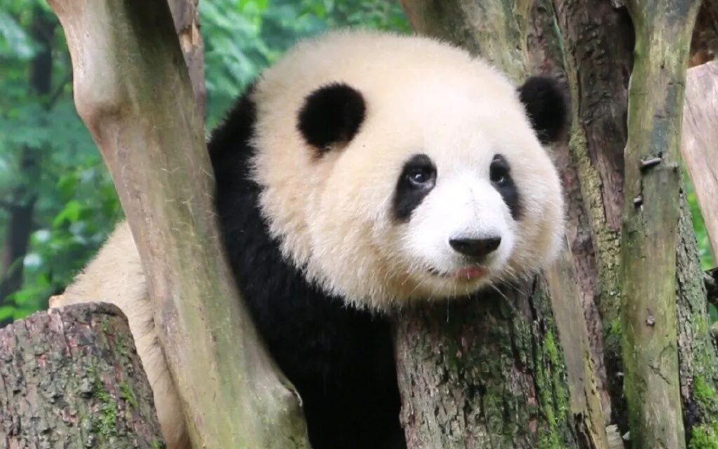 难得一遇的完本好书潮&middot;2025&middot;三季度