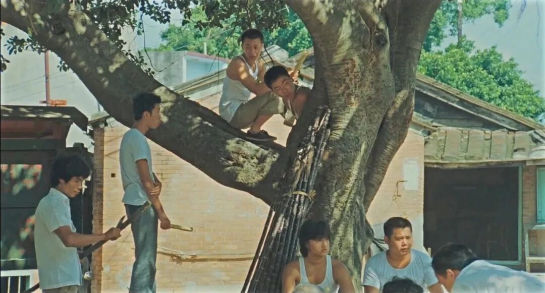 69shuba.ac短剧资讯网