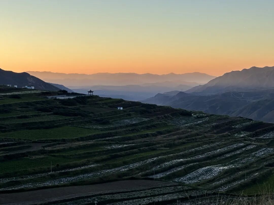 &ldquo;这几年最大的教训，想去的地方赶快去&rdquo;