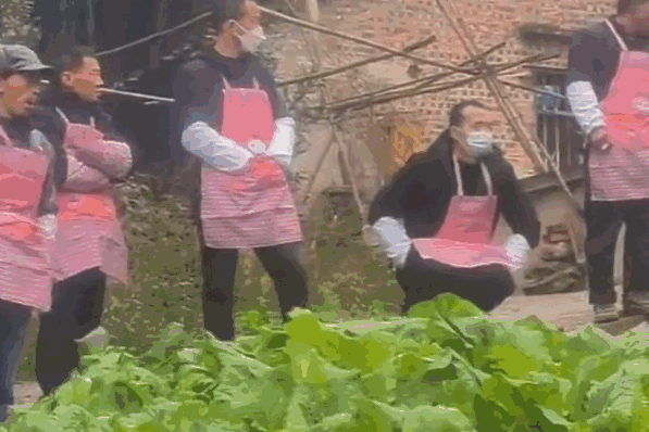 69shuba.ac短剧资讯网