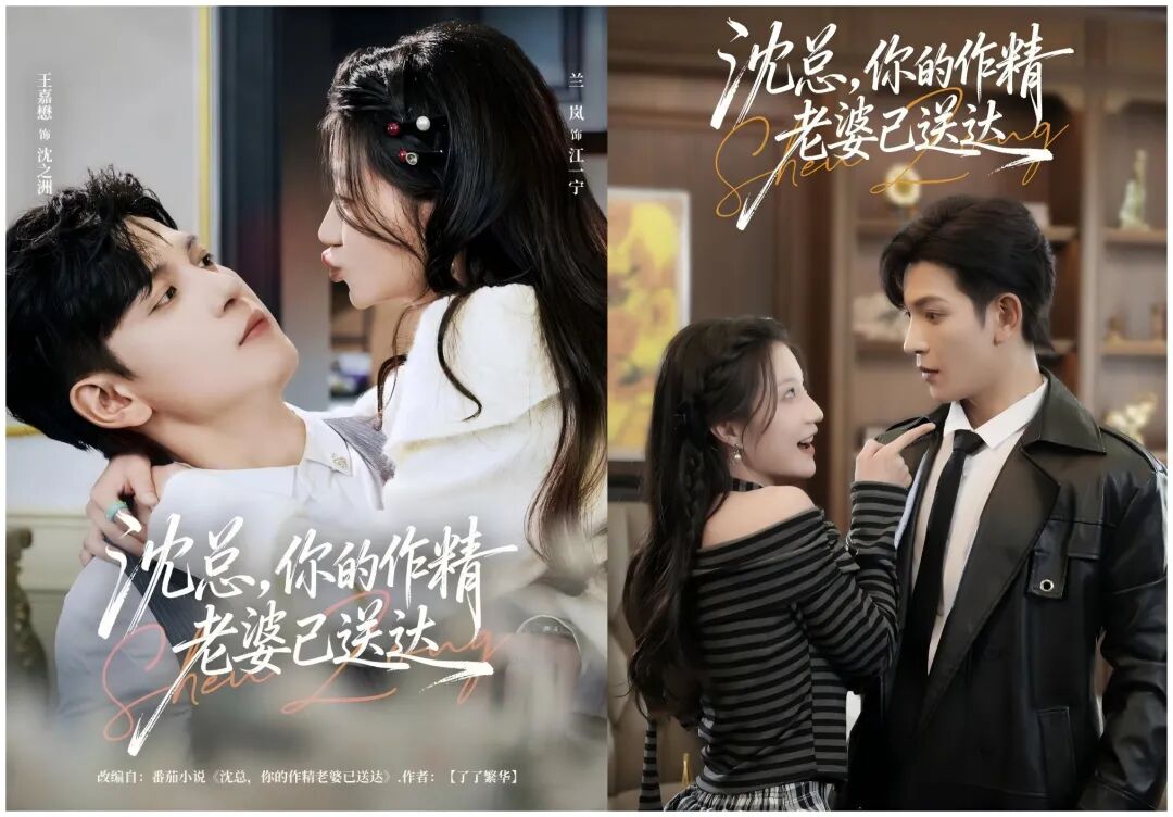 太过瘾了！甜爽剧天花板《沈总，你的作精老婆已送达》对抗路夫妇的趣味日常，越看越上头！