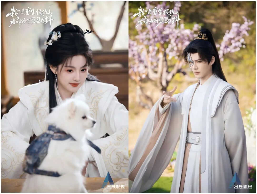 69shuba.ac短剧资讯网