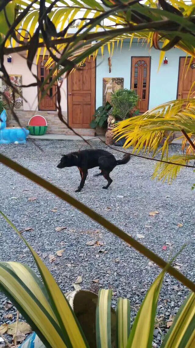 69shuba.ac短剧资讯网