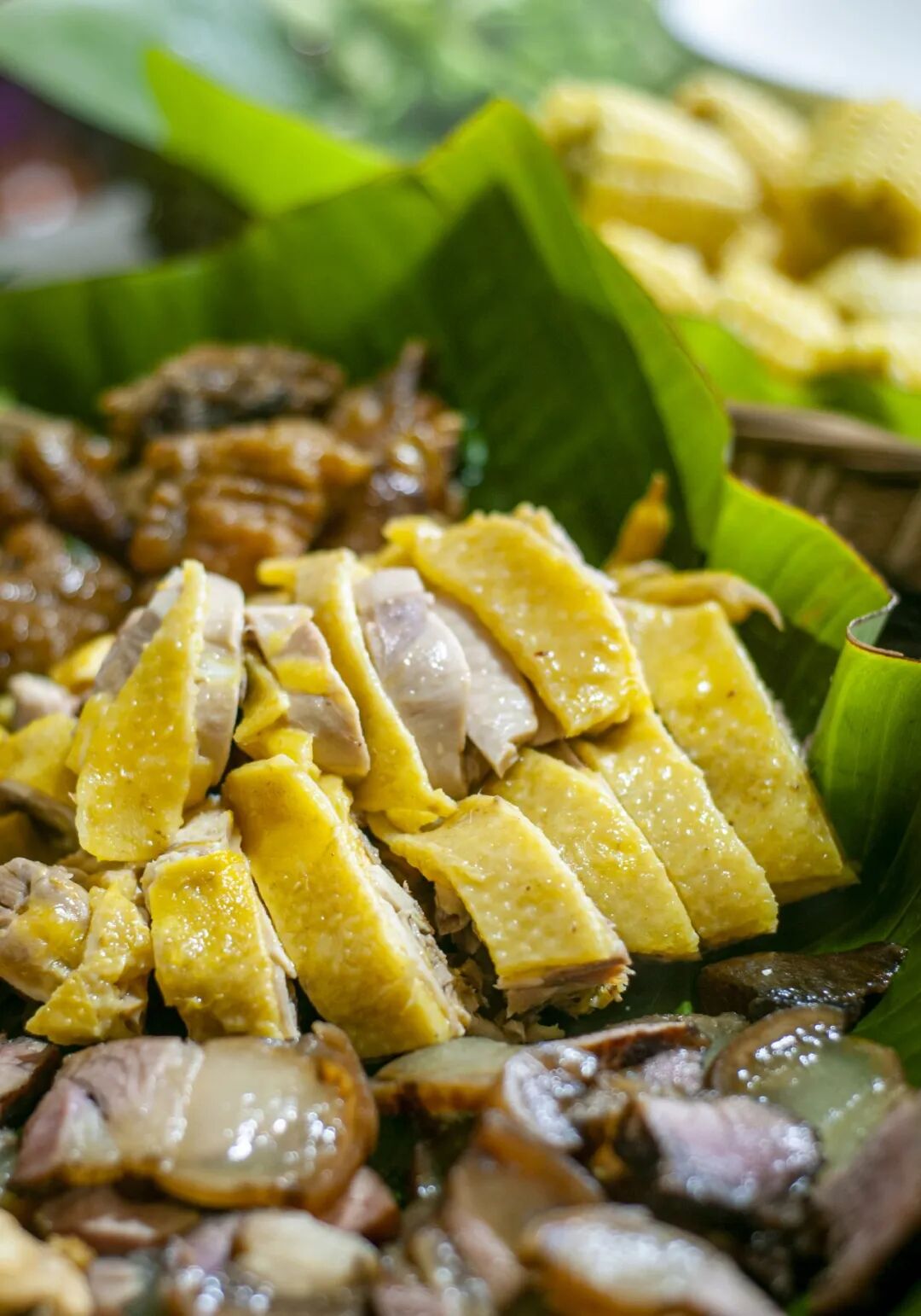 69shuba.ac短剧资讯网