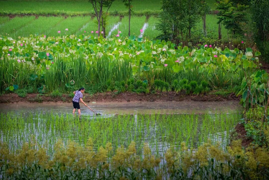 69shuba.ac短剧资讯网