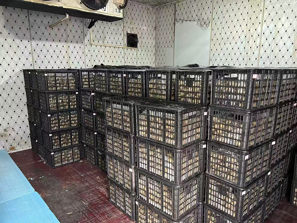 69shuba.ac短剧资讯网