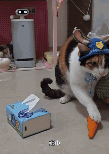 69shuba.ac短剧资讯网