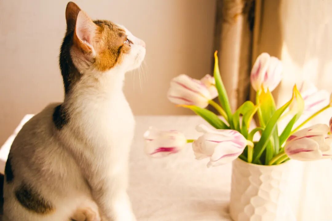 赤戟推书单390｜硬核魔幻中世纪&middot;三国历史后宫救国&middot;娱乐副本泛灵异&hellip;&hellip;