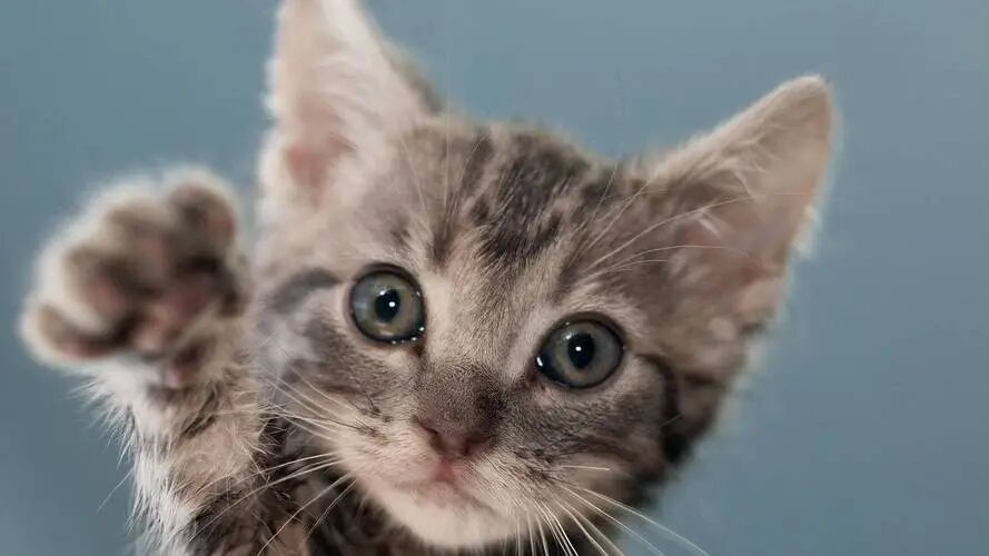 赤戟推书单380｜囤货流末世种田&middot;克系国风无限流&middot;现象级第四天灾&hellip;&hellip;